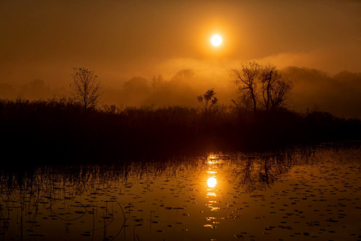 Lake Sunrise
