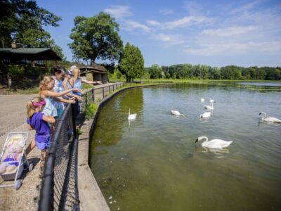 Kellogg Bird Sanctuary