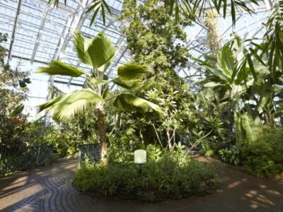 Meijer Garden