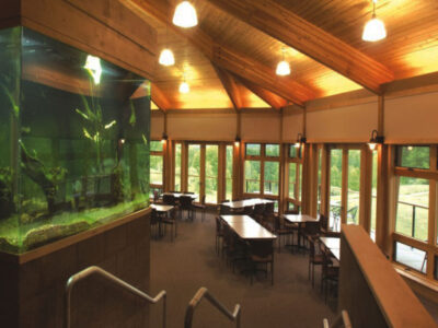 Pierce Cedar Creek Institute