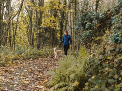 Yankee Springs Trails