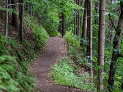 Hammond Hills Trail